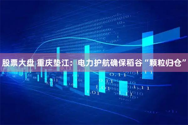 股票大盘 重庆垫江：电力护航确保稻谷“颗粒归仓”