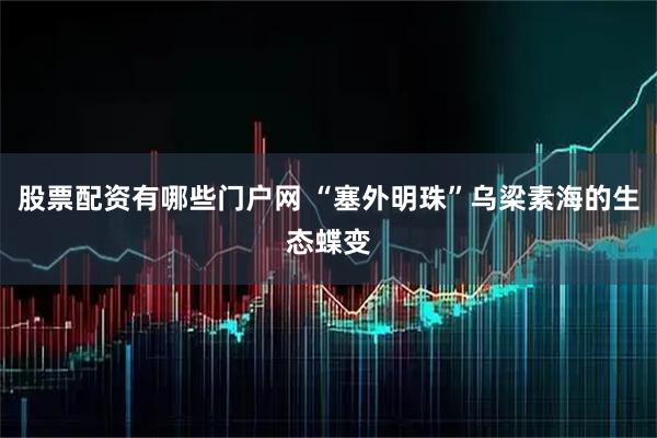 股票配资有哪些门户网 “塞外明珠”乌梁素海的生态蝶变